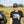Fla Wild Ionic Logo Tee