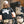 Florida Wild Signature Tee – Midnight Black