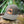 SWAMPER Rope Hat